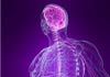 Wholistic Therapies - Physical Therapies