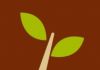 Earthway Healing