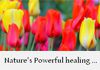 Simply Ayurveda