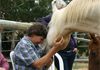 Peakgrove Equine Assisted Learning