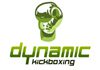 Dynamic Group Kickboxing