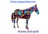Horse Acupuncture