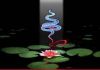 White Wind Natural Therapies