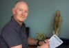 Acupuncture and Chinese Medicine Centre