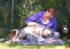 AMBIENCE/MAGGIES FARM WELLNESS SANCTUARY