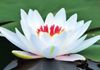 JQR Physiotherapy - Acupuncture
