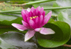 Equilibrium - Mind Body Balancing