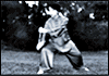 Tai Chi Academy