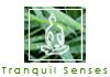 Tranquilsenses Therapeutic Massage
