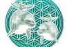 Soul Light Institute of Massage and Holistic Healing