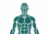 Integral Therapeutic Massage : Richard Turner