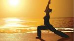 Yoga Classes: Hatha Vinyasa Yoga, Chair Yoga, Prenatal Yoga Classes & Gentle Yoga