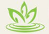 Body Stimulants