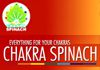 Counsellor for Singles, Couples & Families