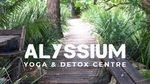 Yoga & Detox Mini Retreats