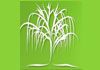 Grow Natural Health & Fitness