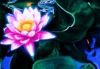 A Dose of Reality Holistic Life Coaching, Healing and Beauty Services