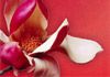 Magic Touch Shiatsu