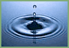 Berts Bowen Therapy & Reflexology Clinic - Indian Head Massage
