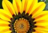 Reiki & Theta Healing