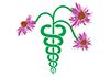 Positive Natural Healing