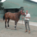 Remedial Massage Therapist for Horse & Human