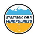Mindfulness Workshops & Private Consultations