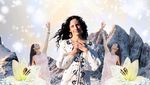 Emotional Freedom Technique Practitioner