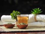 Ayurveda herbal consultants
