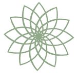 Energy Healing Practice