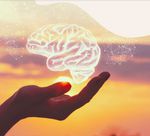 Meditation Foundations