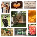 Yoga & Meditation Teacher