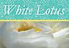 White Lotus Yoga