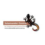 Feldenkrais Method: Holistic Treatment for Pain, Tension & Mobility