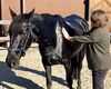 Midnight having a treatment after her bath