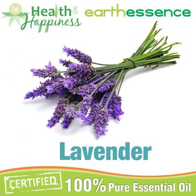 Popular Essential Oils