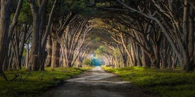 Path
